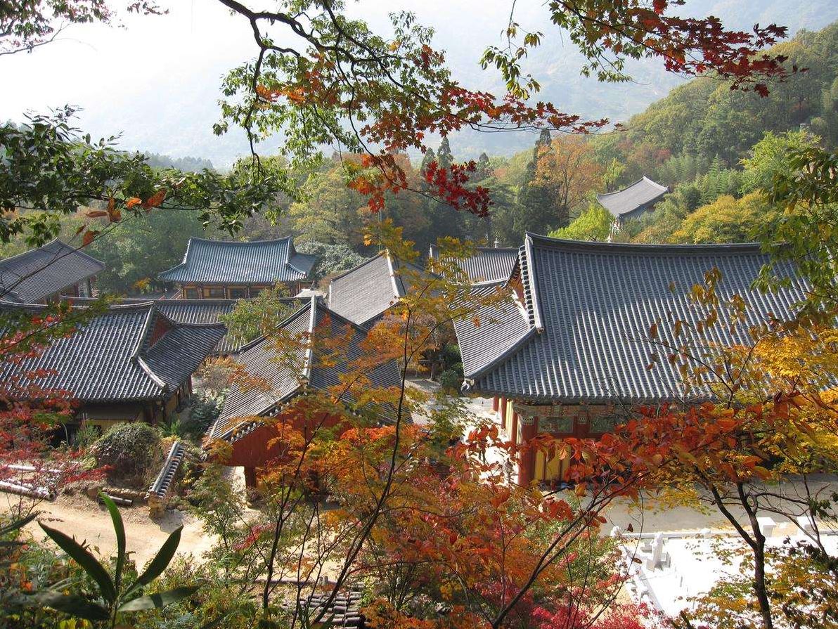 쌍계사5.JPG